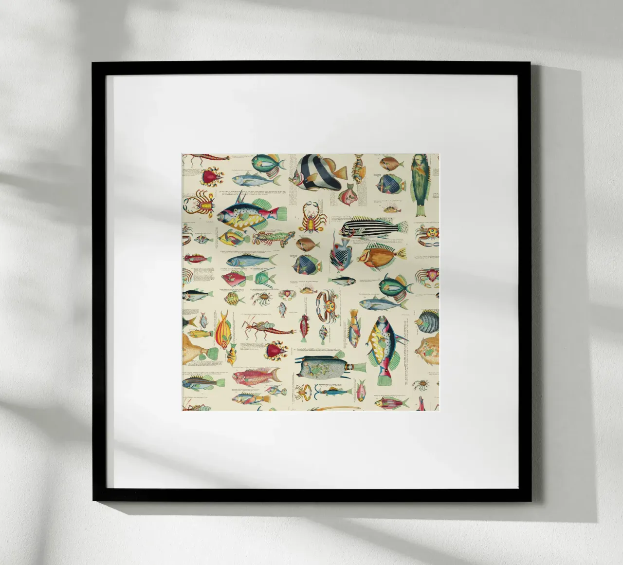 Illustrazione multicolore di pesci e vita marina poster con telaio in legno da Andrea Haase Vintage World