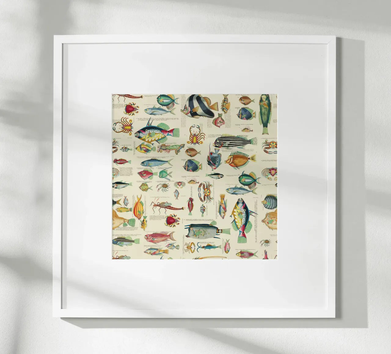 Illustrazione multicolore di pesci e vita marina poster con telaio in legno da Andrea Haase Vintage World