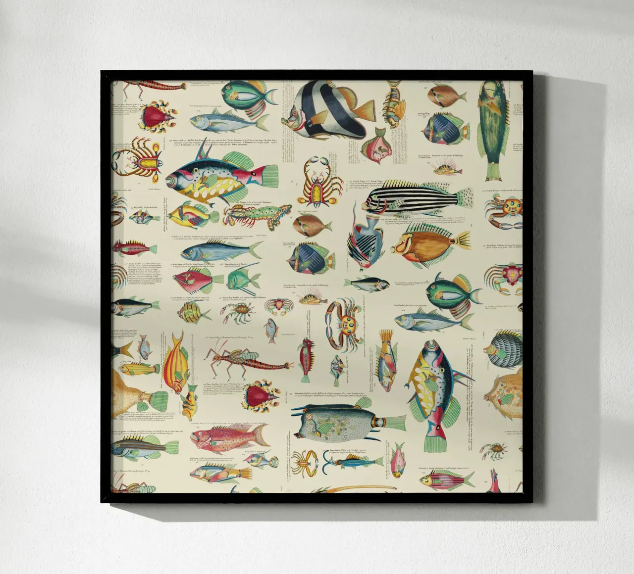 Illustrazione multicolore di pesci e vita marina poster con telaio in legno da Andrea Haase Vintage World