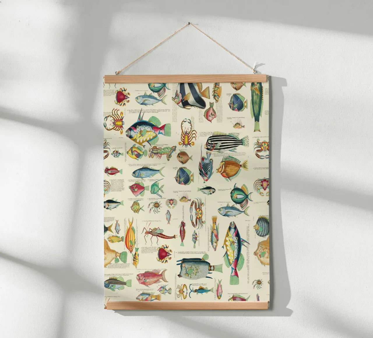 Illustrazione multicolore di pesci e vita marina poster con telaio in legno da Andrea Haase Vintage World