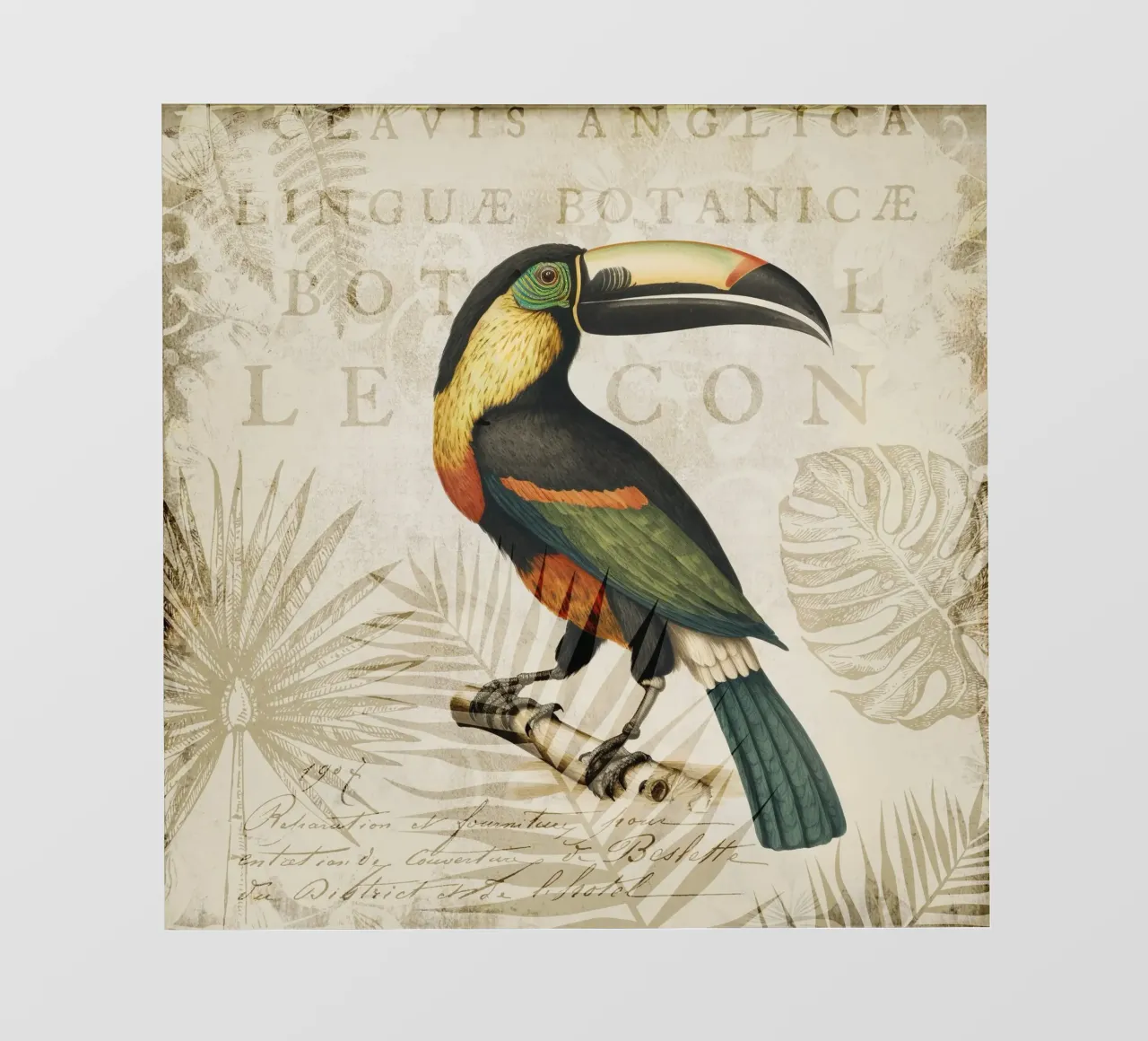 Nascondiglio tropicale dei tucani pellicola backlit da Andrea Haase Vintage World