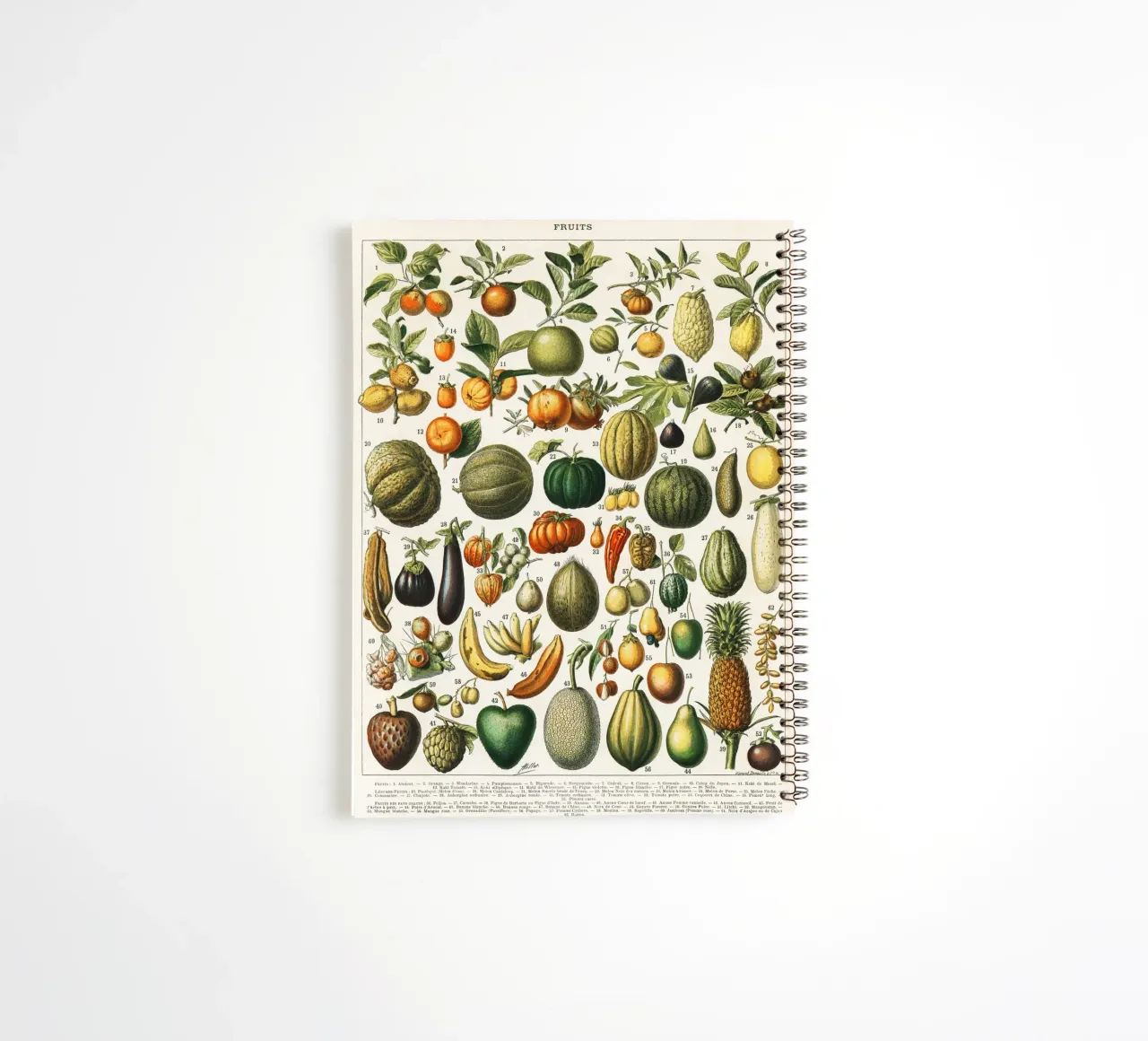 fruits and vegetables Ringbuch von vintageshop