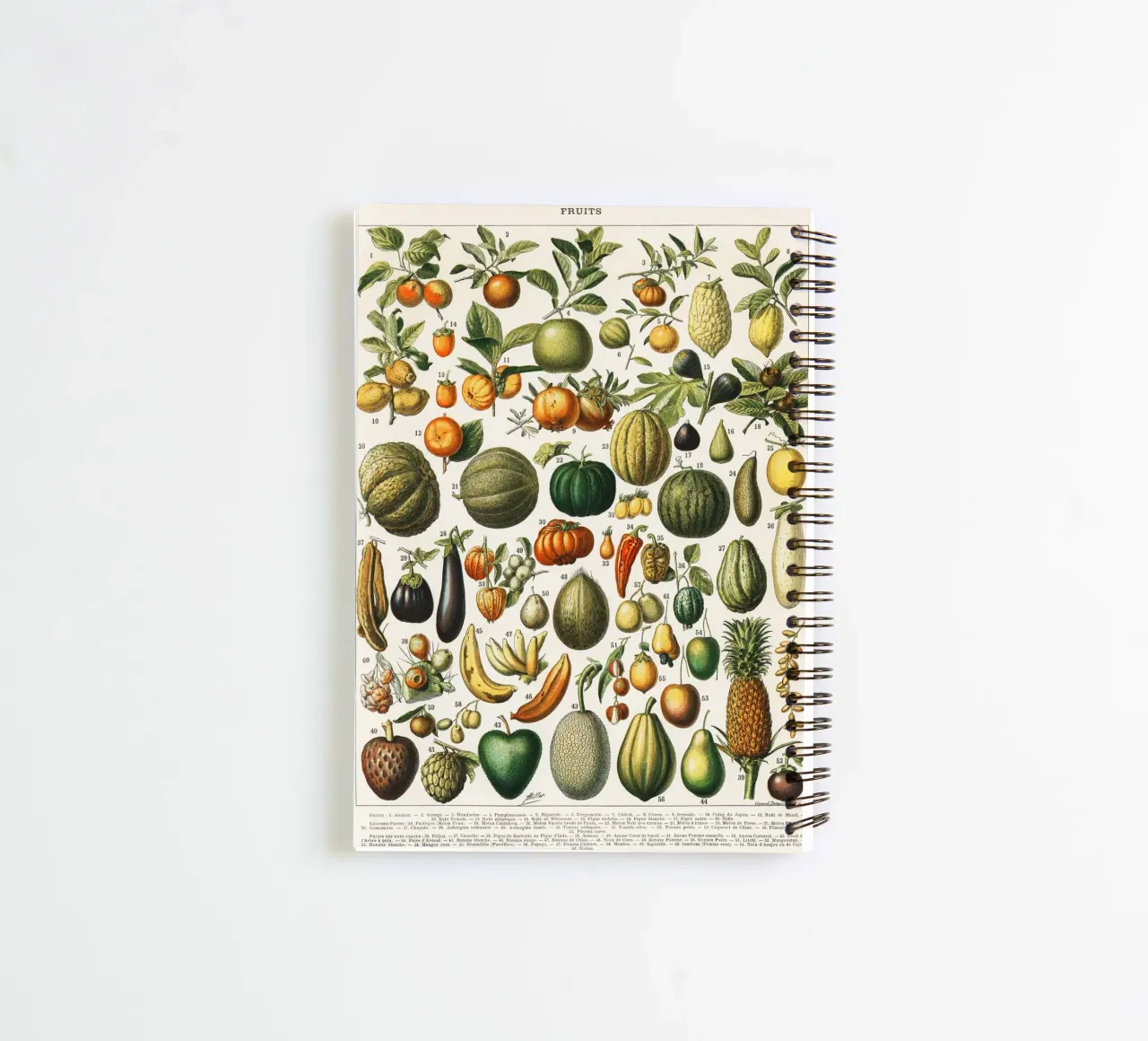 fruits and vegetables Ringbuch von vintageshop