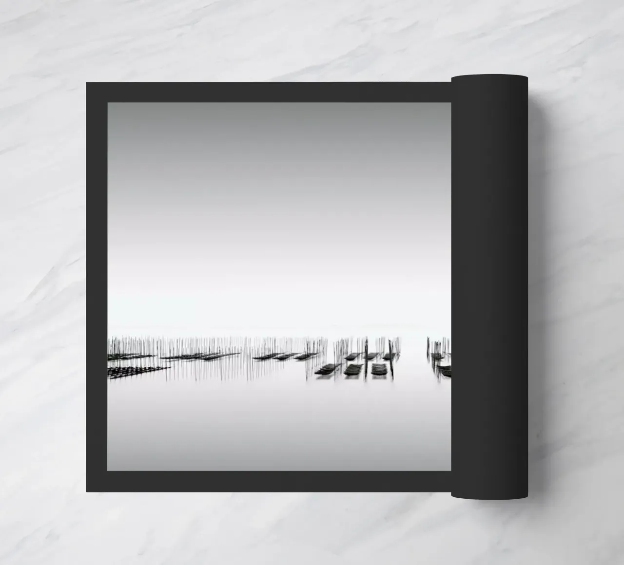 Nori Study 9 zerbino da Michael J. Reibert