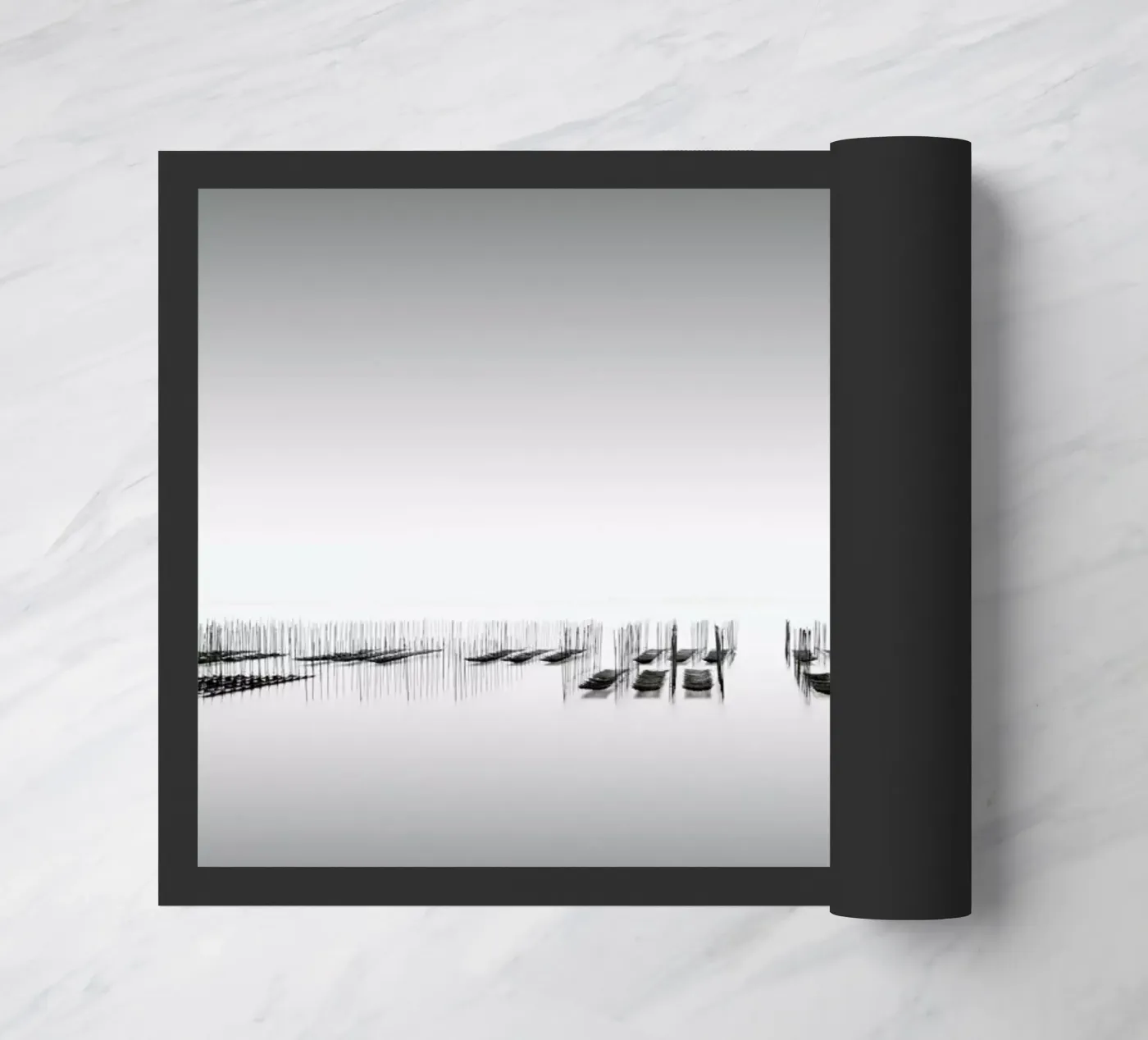 Nori Study 9 zerbino da Michael J. Reibert