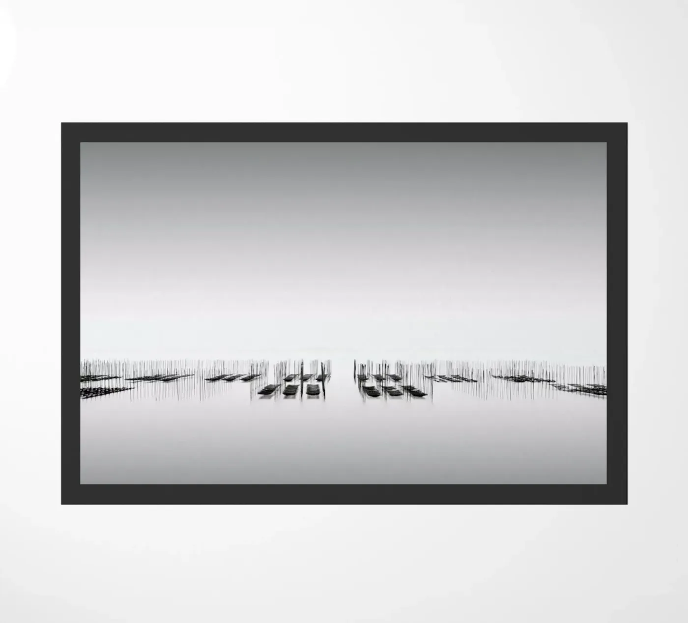 Nori Study 9 zerbino da Michael J. Reibert