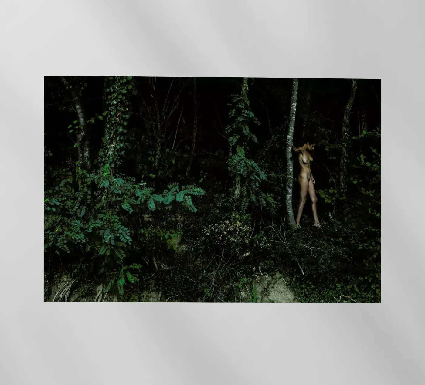 Amazon backlit folie van Matevž Kosterov