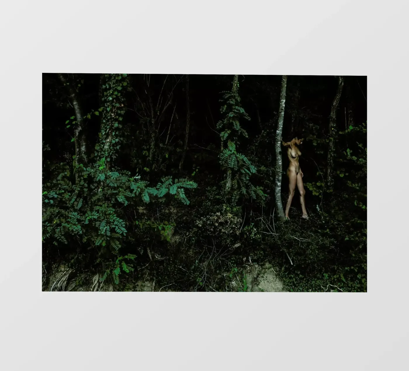 Amazon backlit folie van Matevž Kosterov