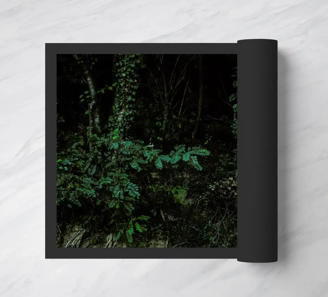 Amazon zerbino da Matevž Kosterov