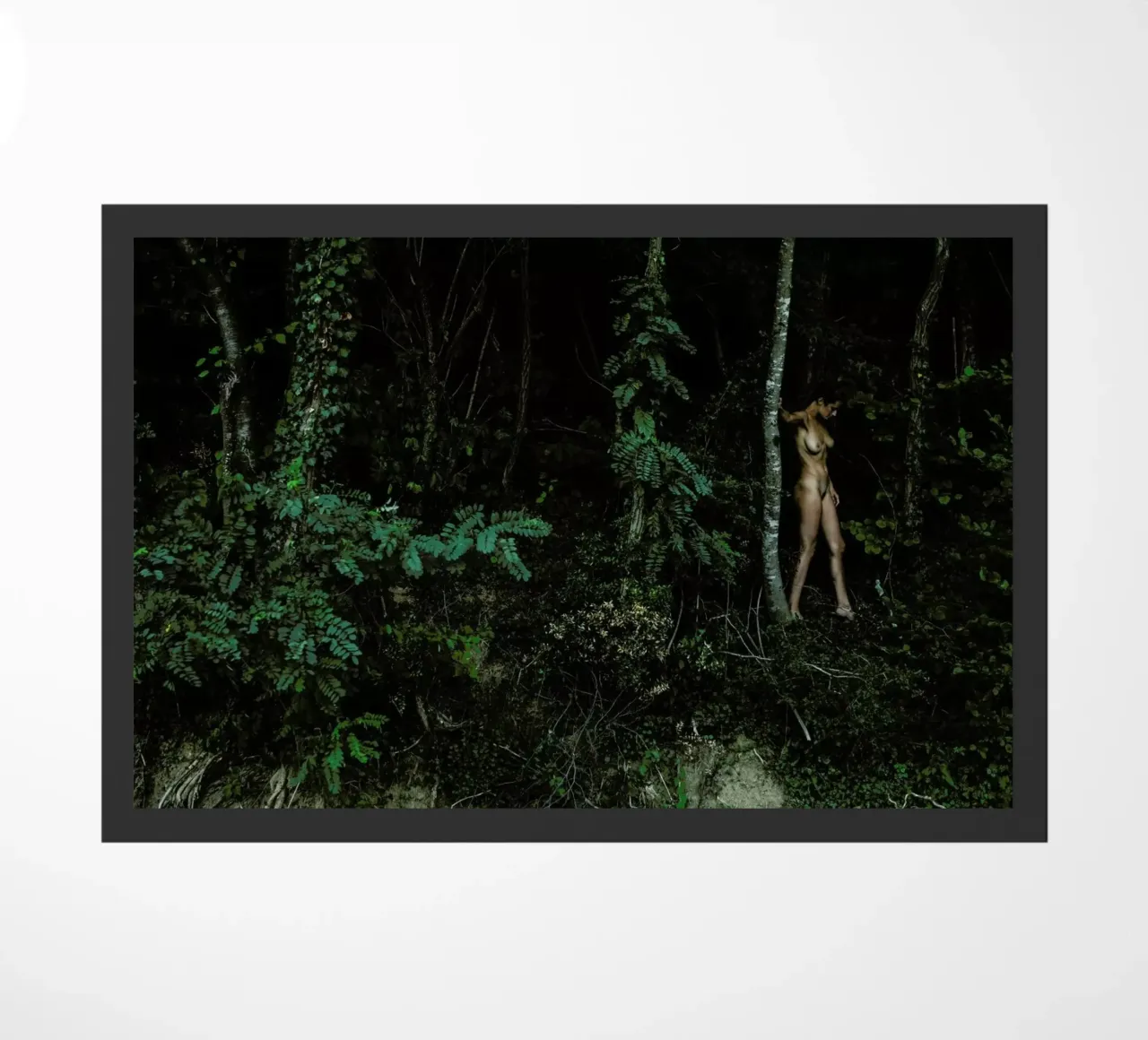 Amazon zerbino da Matevž Kosterov