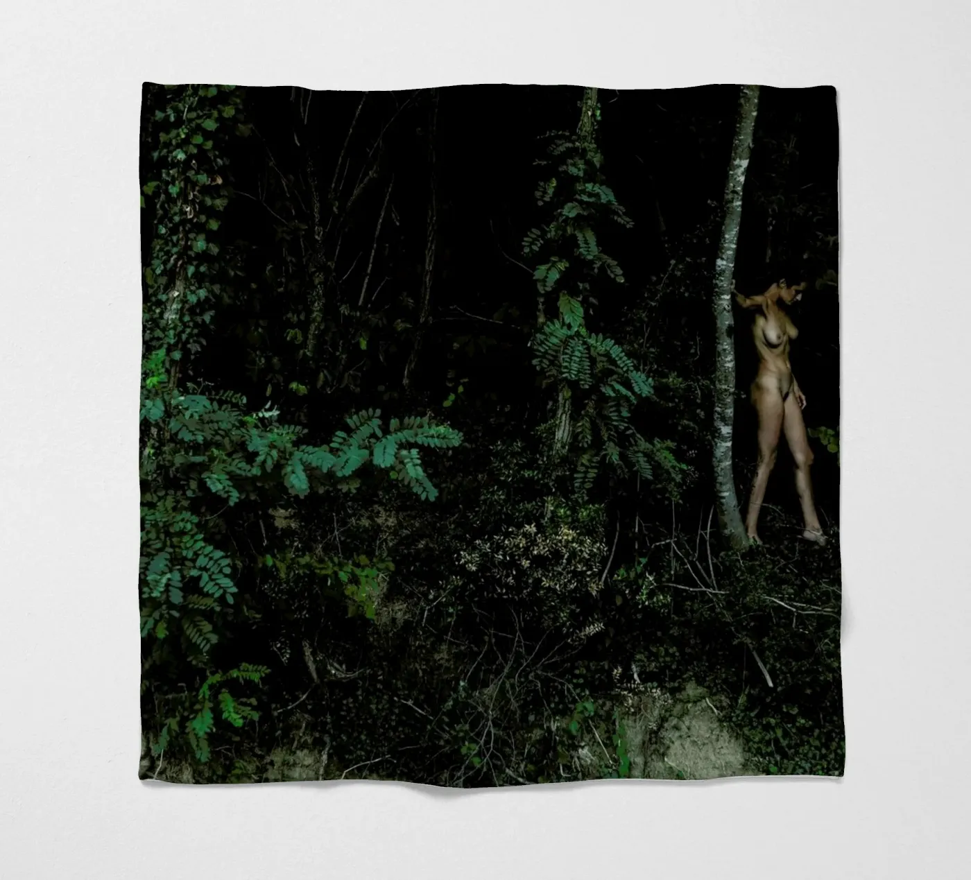 Amazon fleecedeken van Matevž Kosterov