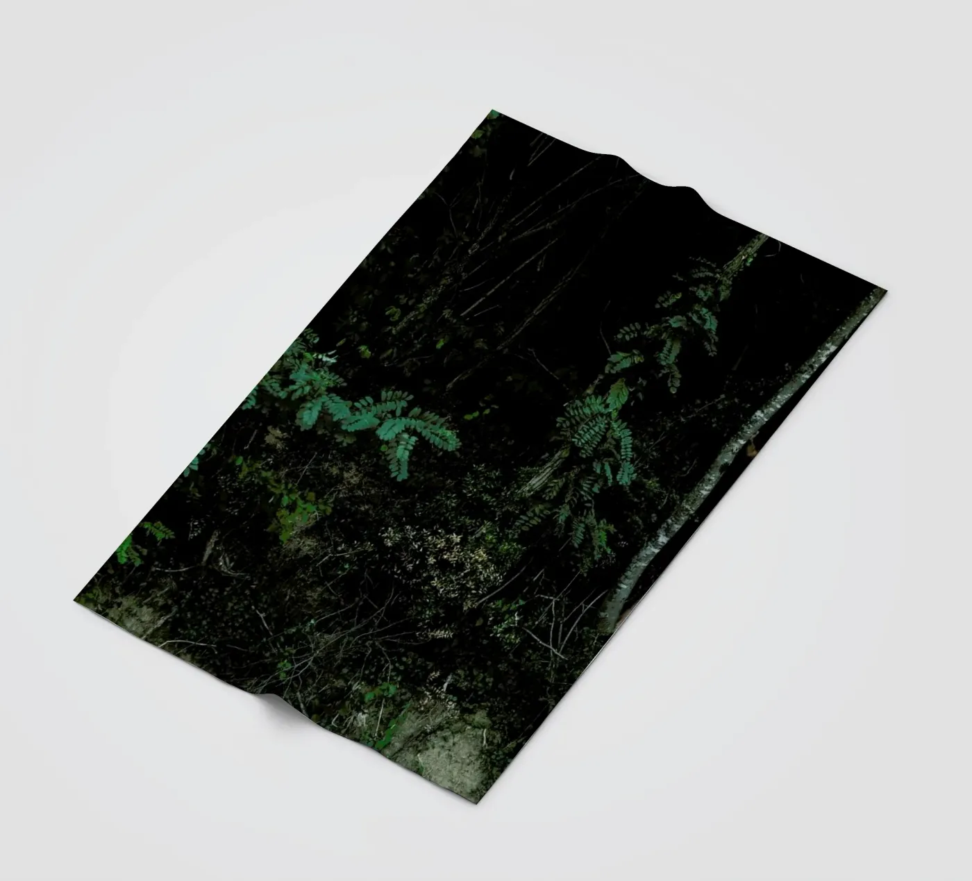 Amazon fleecedeken van Matevž Kosterov