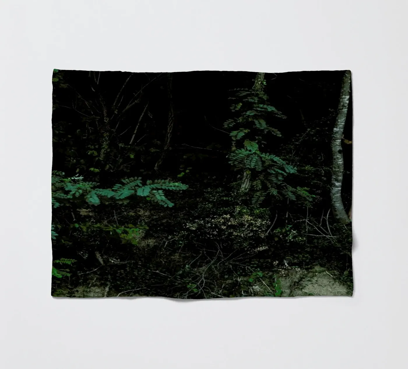 Amazon fleecedeken van Matevž Kosterov