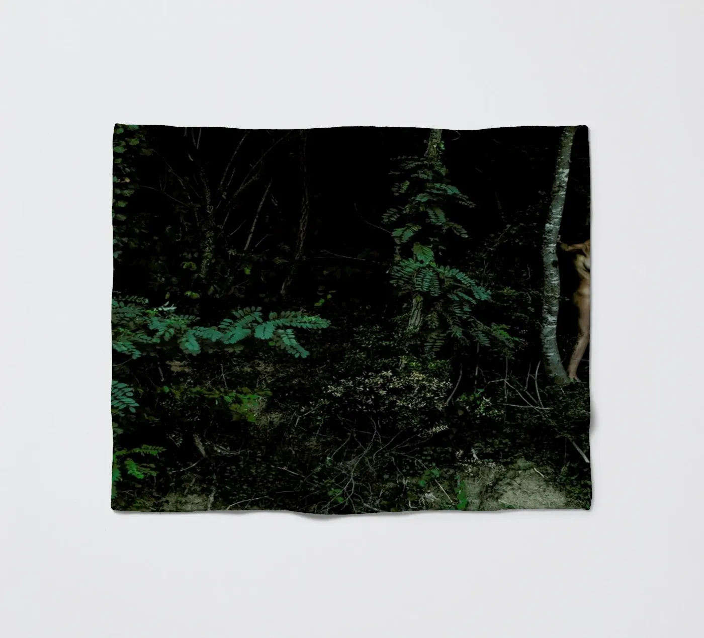 Amazon fleecedeken van Matevž Kosterov