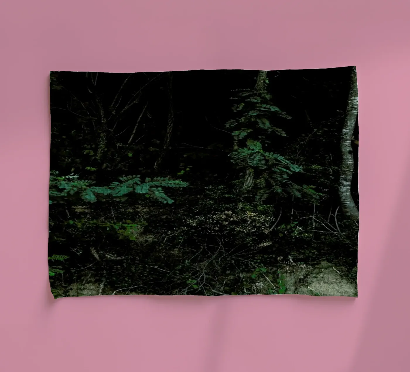 Amazon torchon de Matevž Kosterov