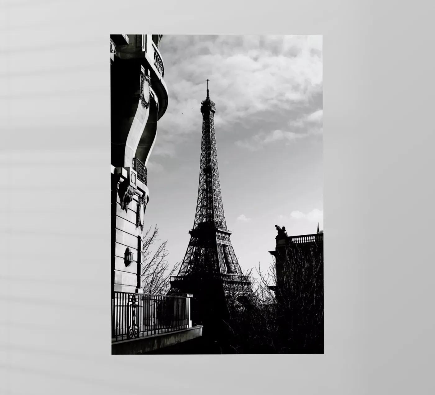 Paris pellicola backlit da Magdalena Martin Photography