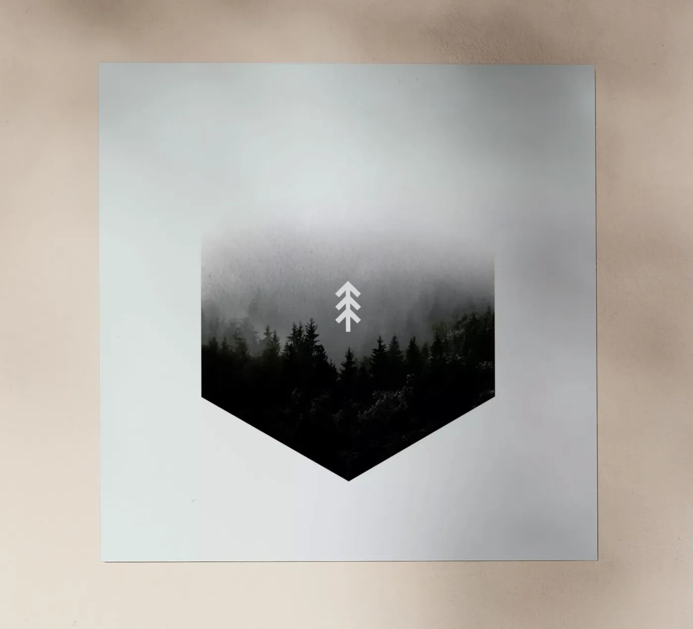 Forest Hex pellicola backlit da Chris Wharton