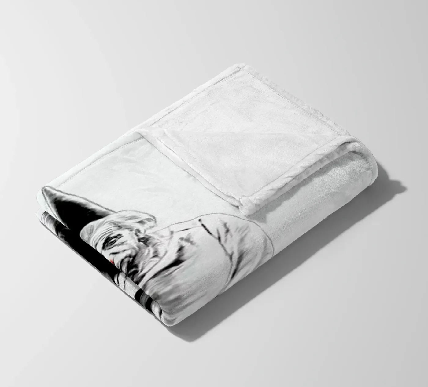 Einstein Fleecedecke von Jared Yamahata