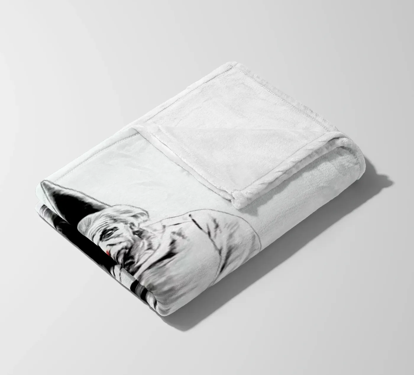 Einstein Fleecedecke von Jared Yamahata