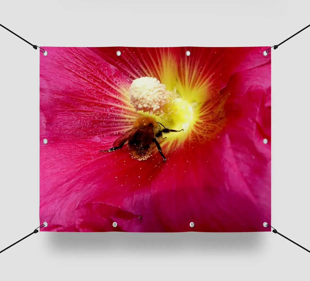 Bloemenleven pvc-zeil van Massimo Frascogna