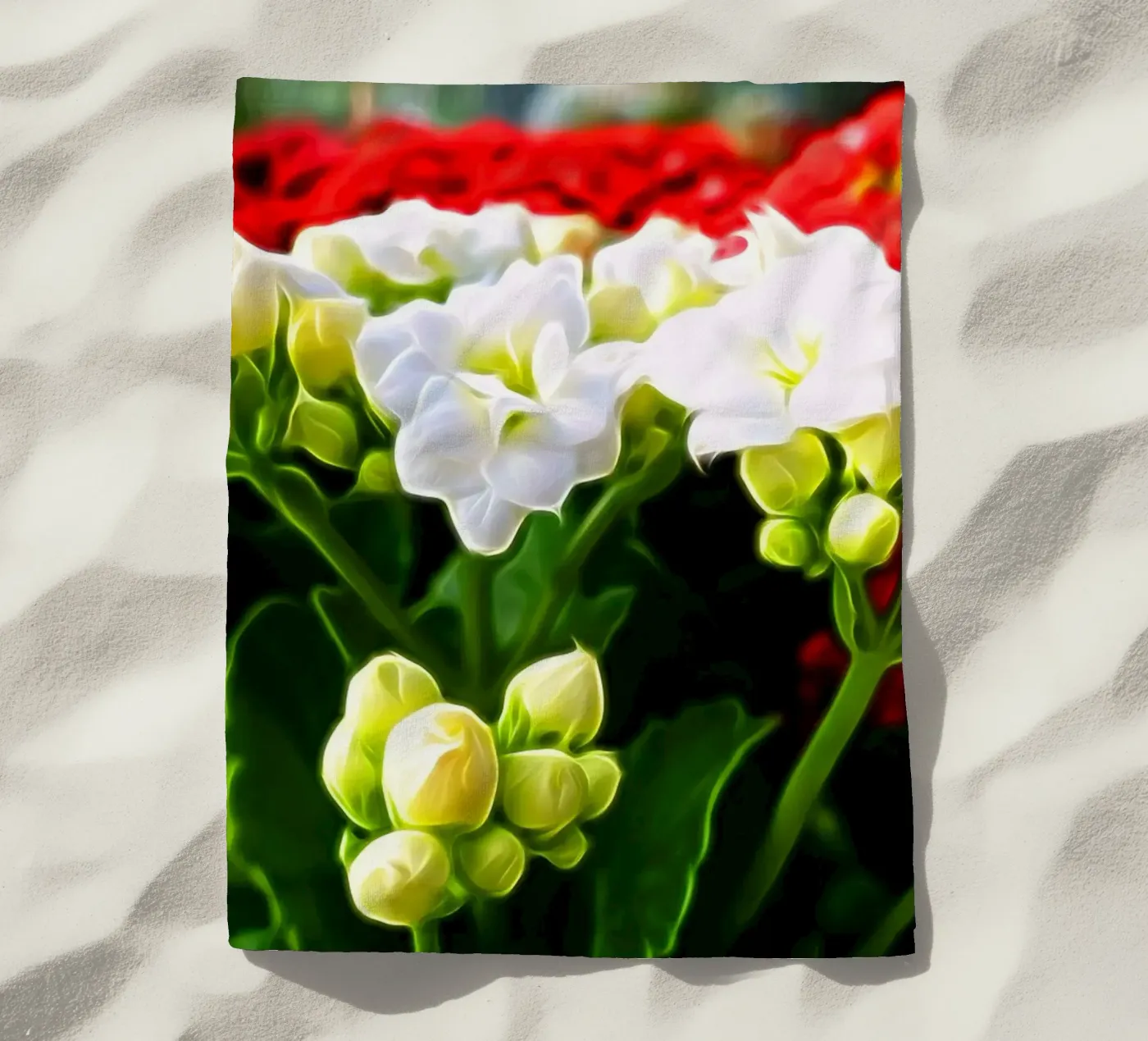 Flowers telo mare da Massimo Frascogna