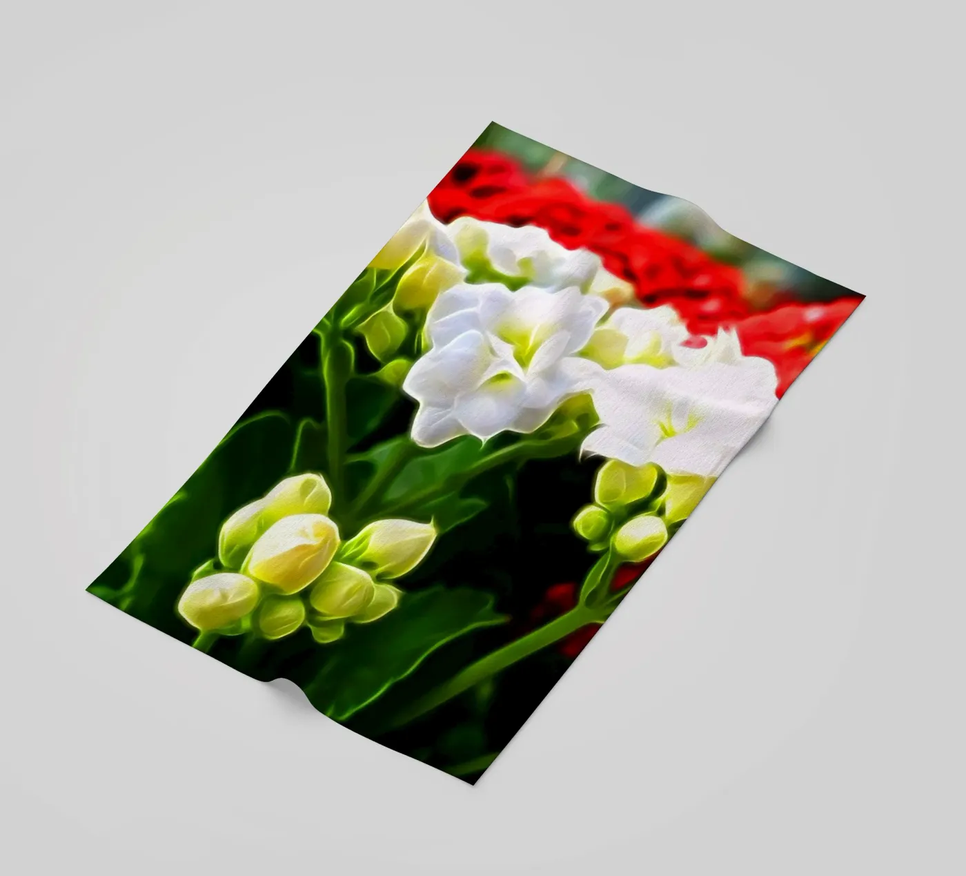 Flowers telo mare da Massimo Frascogna