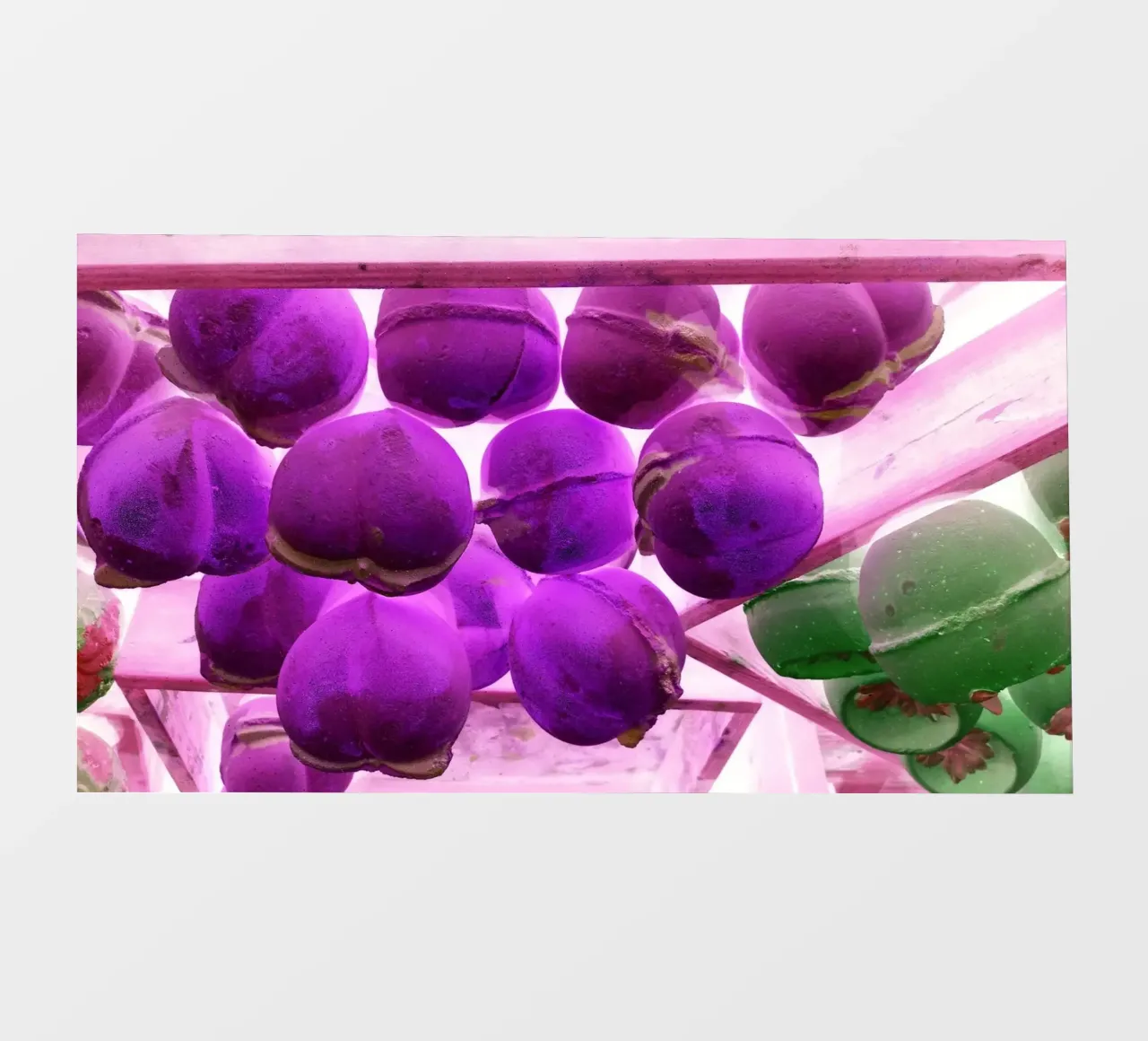 Purple pellicola backlit da Massimo Frascogna