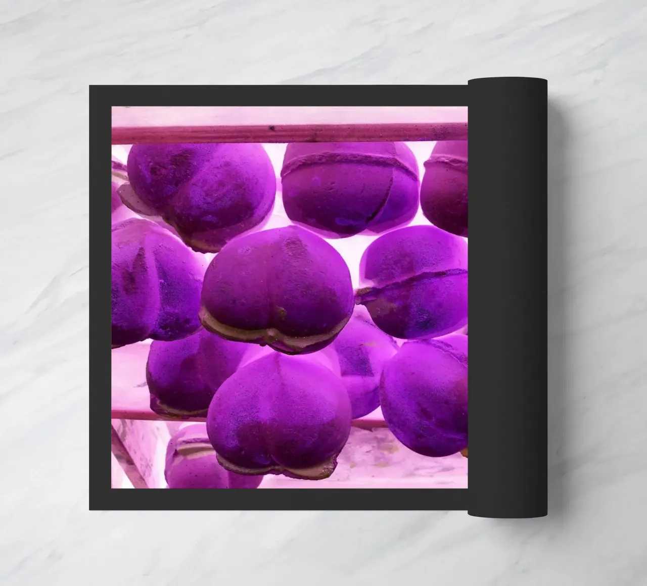 Viola zerbino da Massimo Frascogna