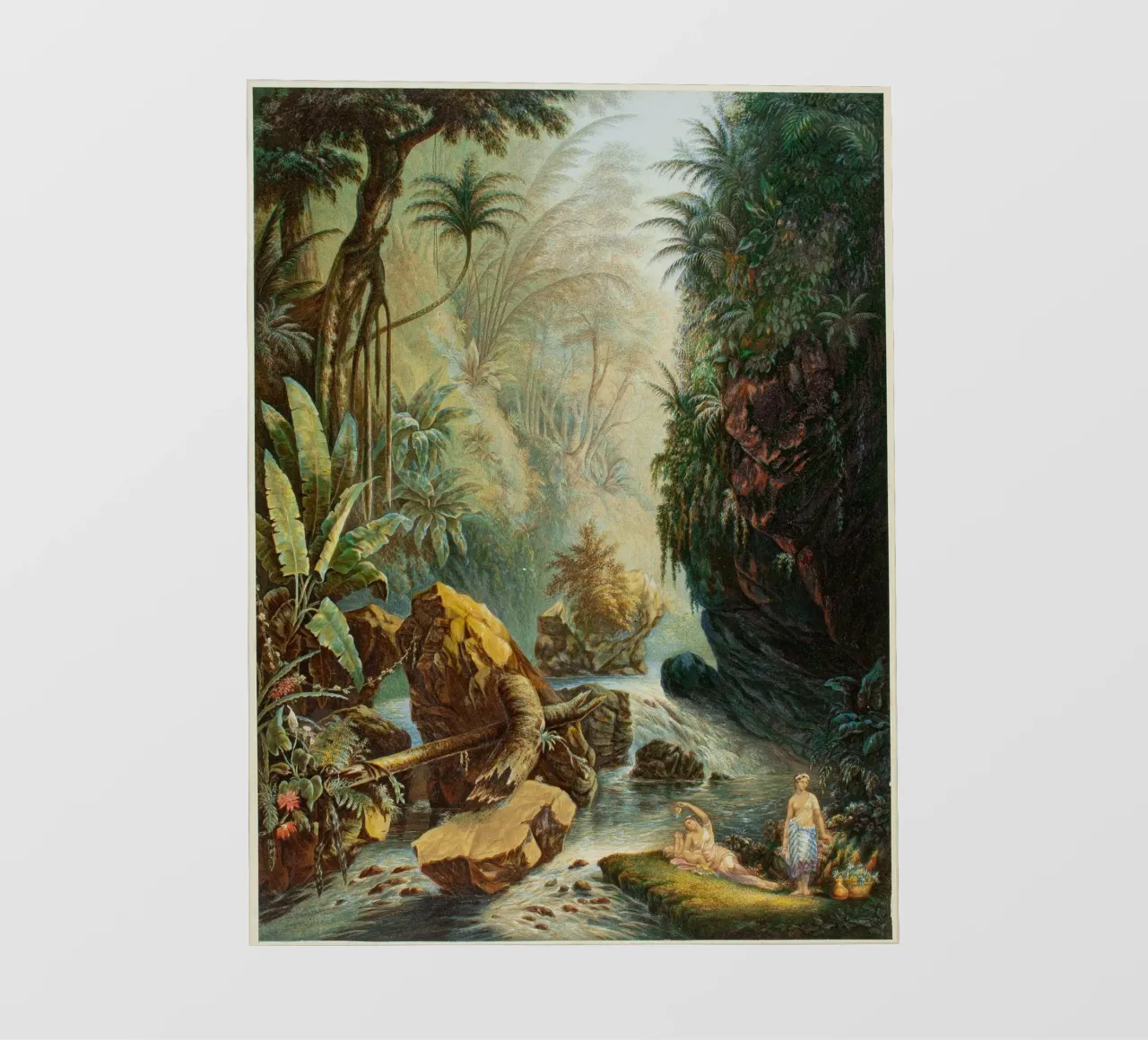 River In The Jungle pellicola backlit da vintageshop