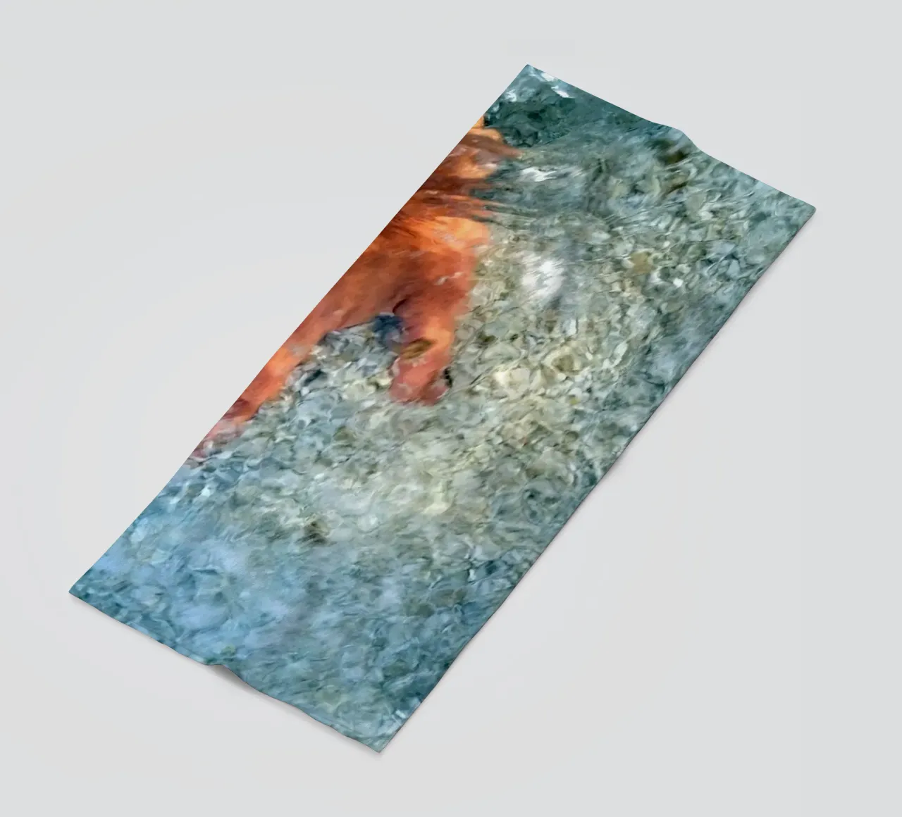 Nel mare telo mare da Massimo Frascogna