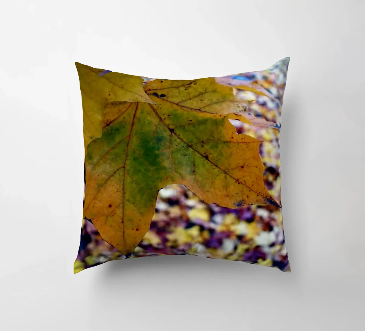 Foglie d'autunno cuscino da Massimo Frascogna
