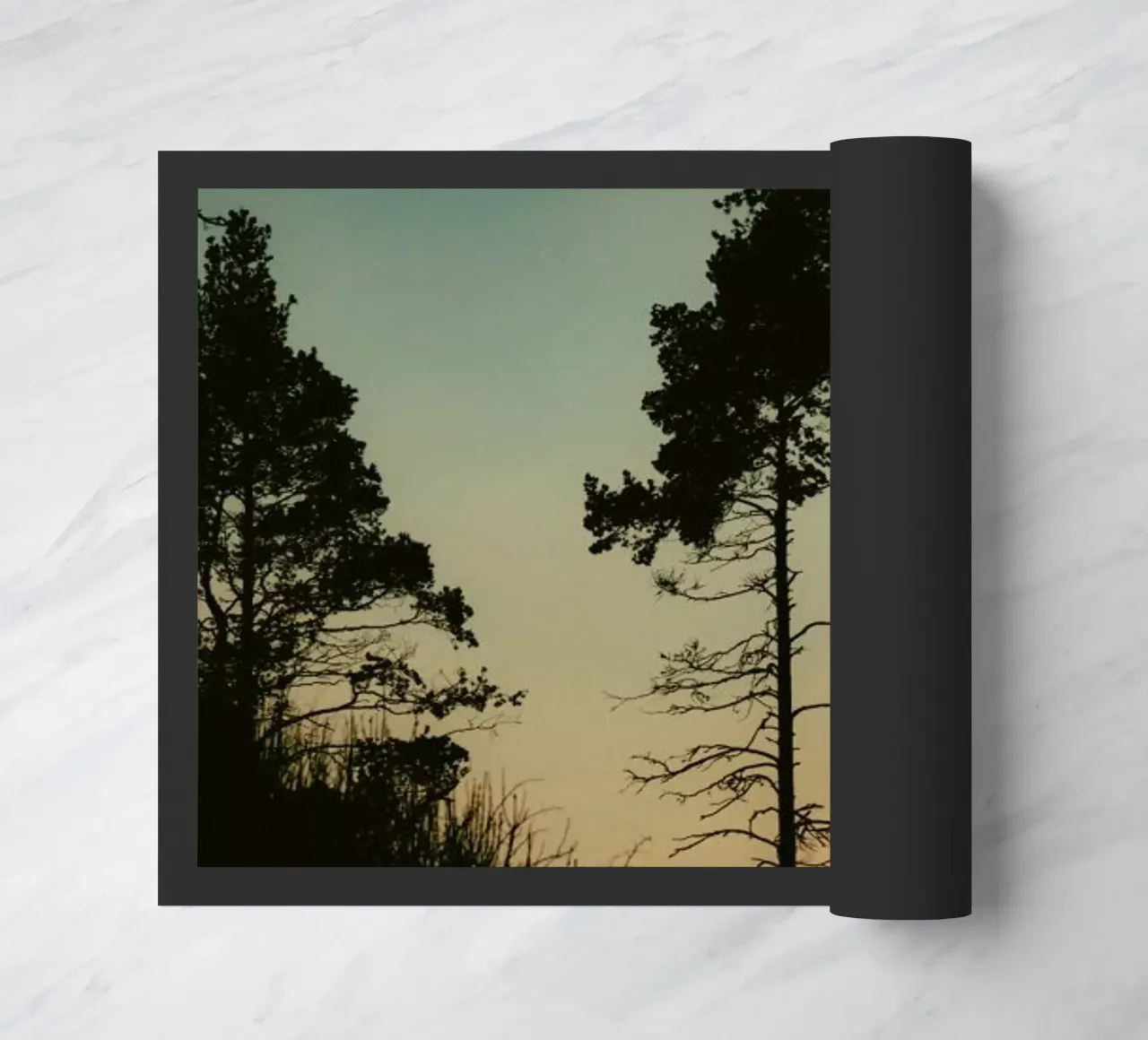 The Forest II zerbino da Pale Grain