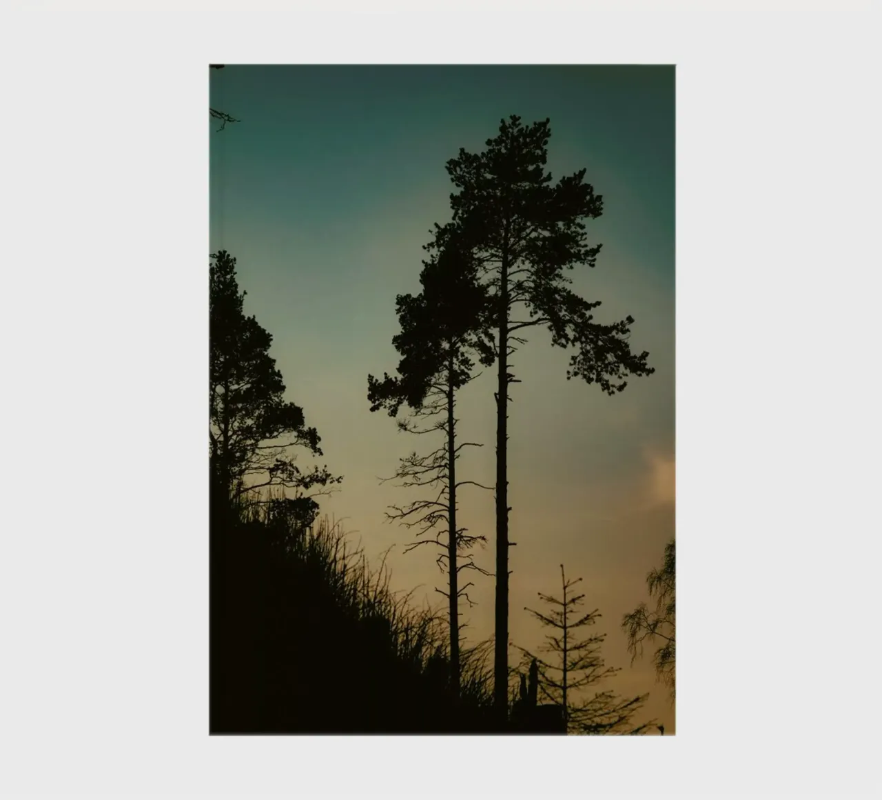 The Forest II notebook by Pale Grain