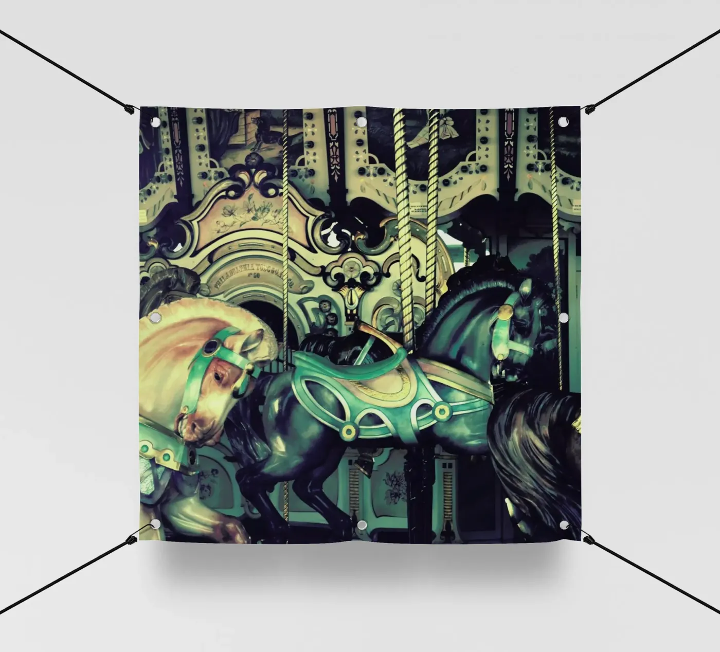 Carousel pvc cover by Robin Delean