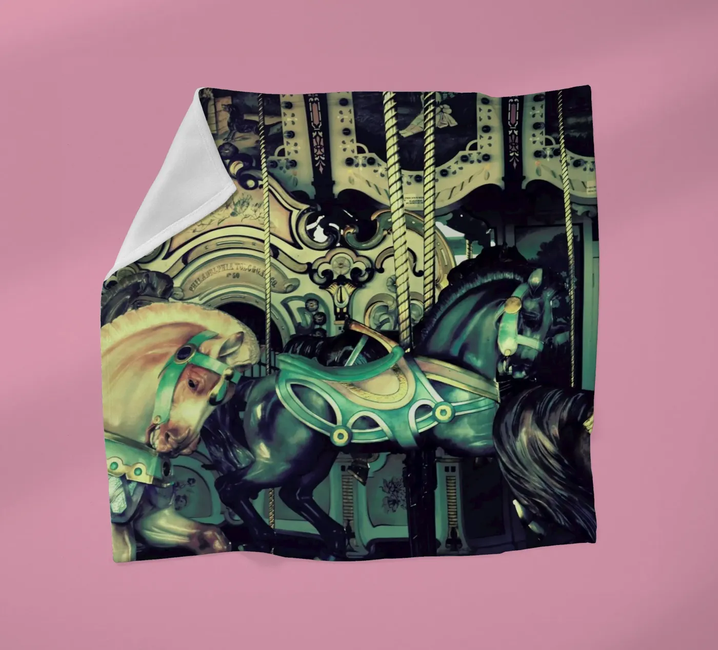 Carousel coperta in pile da Robin Delean