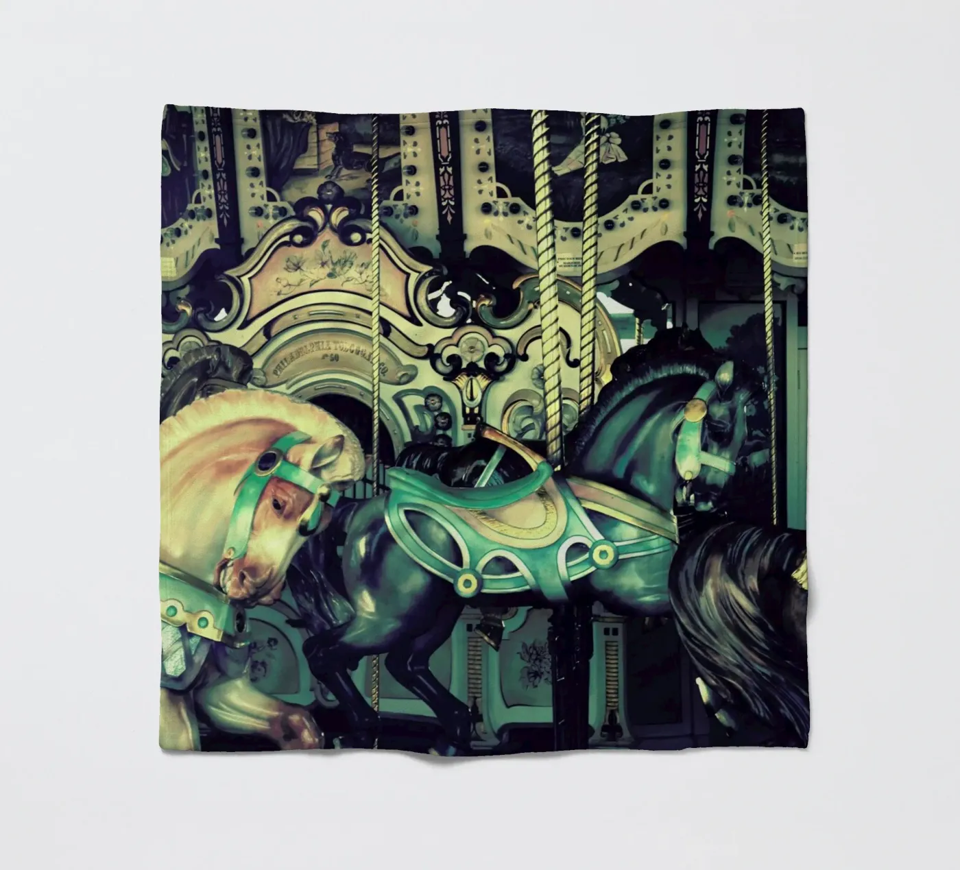 Carousel coperta in pile da Robin Delean