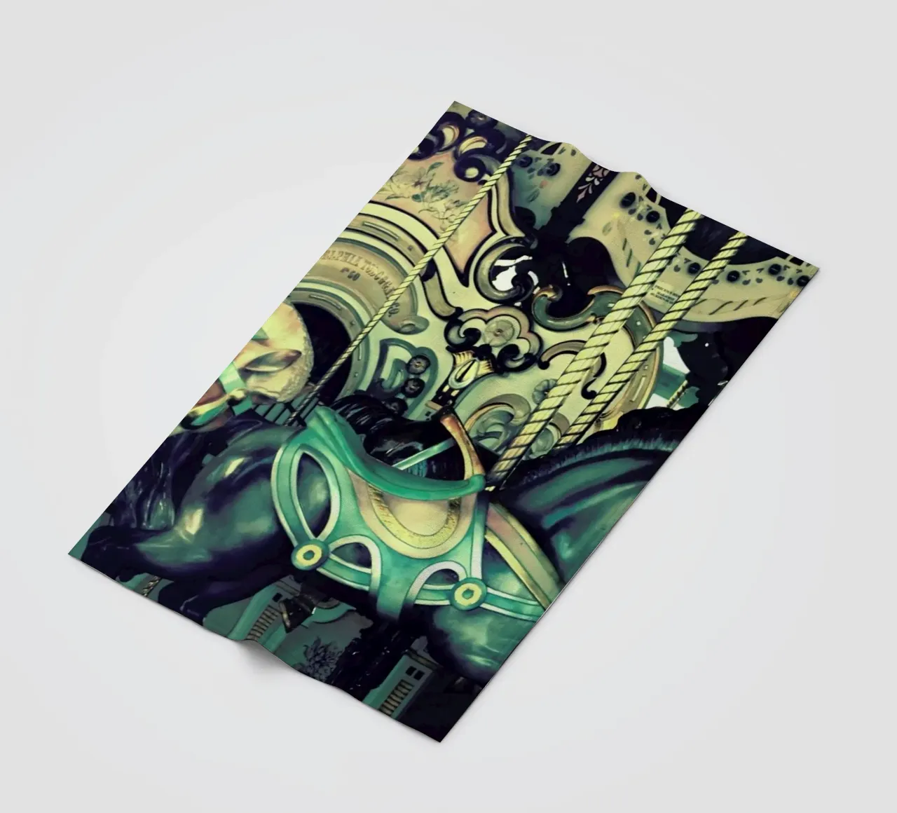 Carousel coperta in pile da Robin Delean