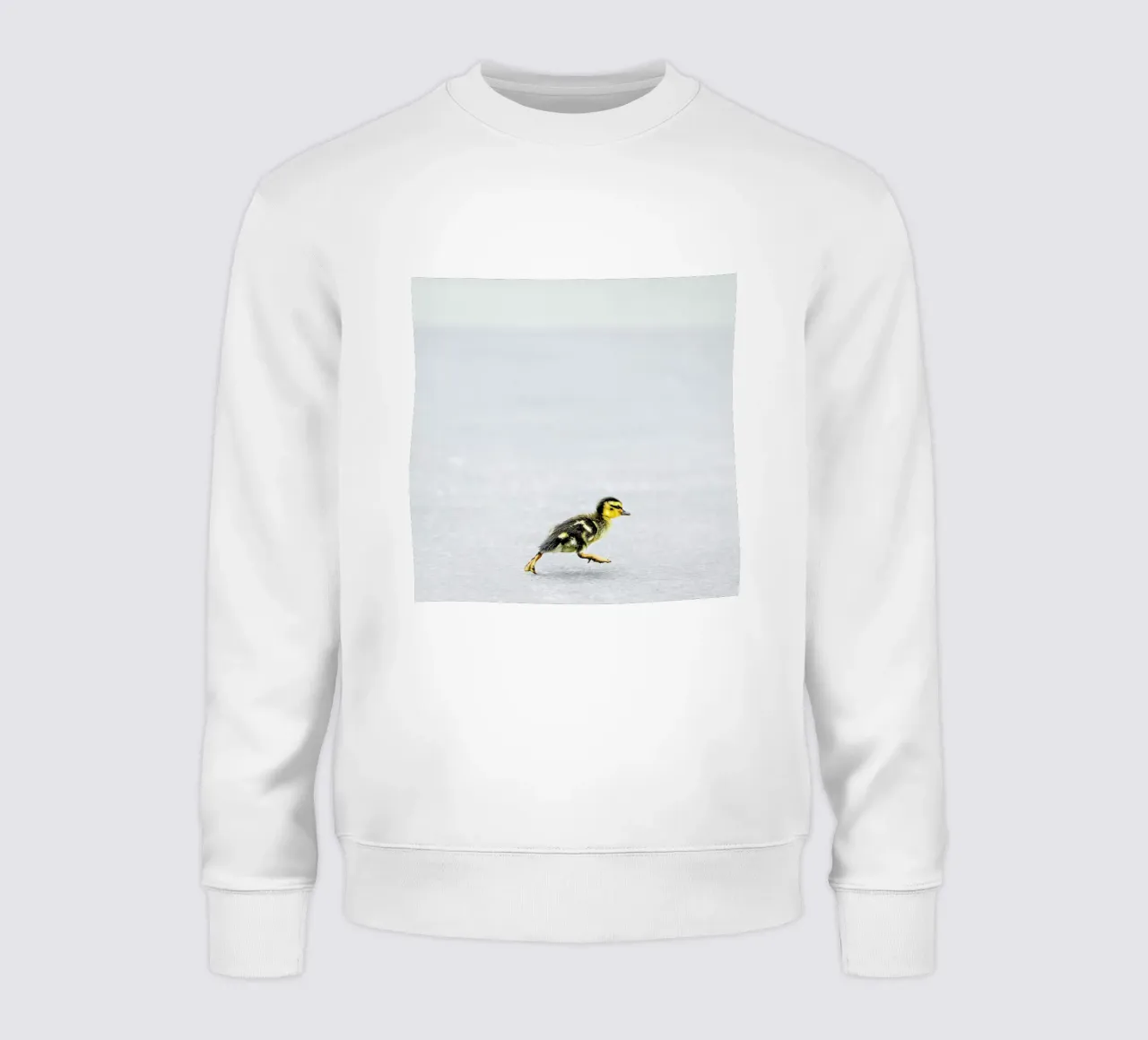 Duckling felpa da Charlotte Curd