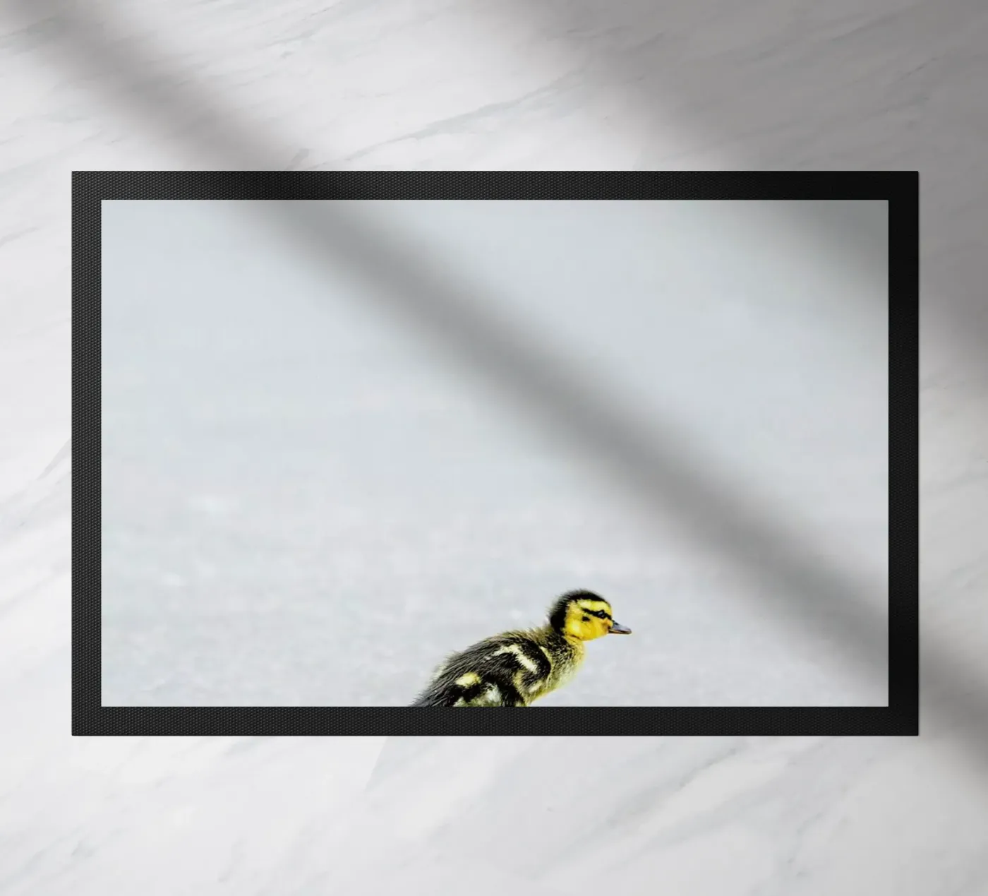 Duckling deurmat van Charlotte Curd