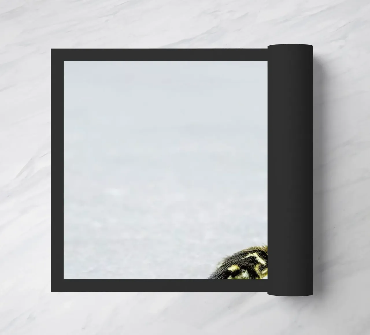 Duckling zerbino da Charlotte Curd