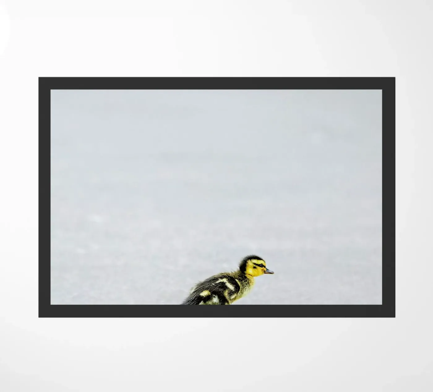 Duckling deurmat van Charlotte Curd