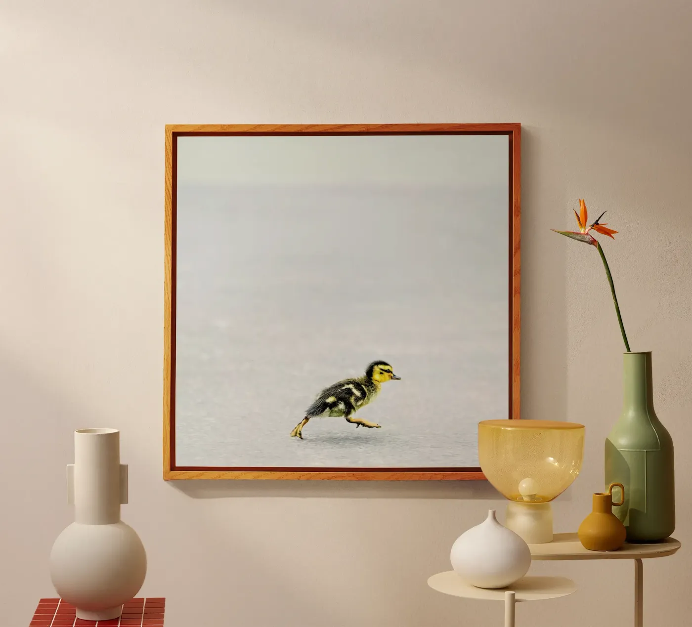 Duckling plexiglass da Charlotte Curd