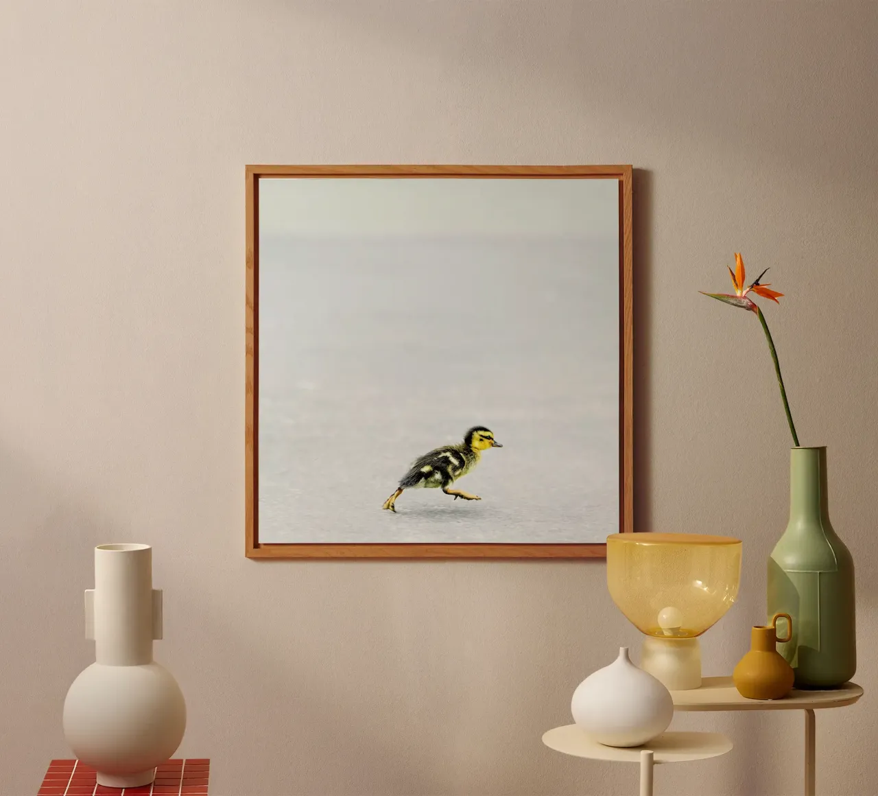 Duckling pannello forex da Charlotte Curd