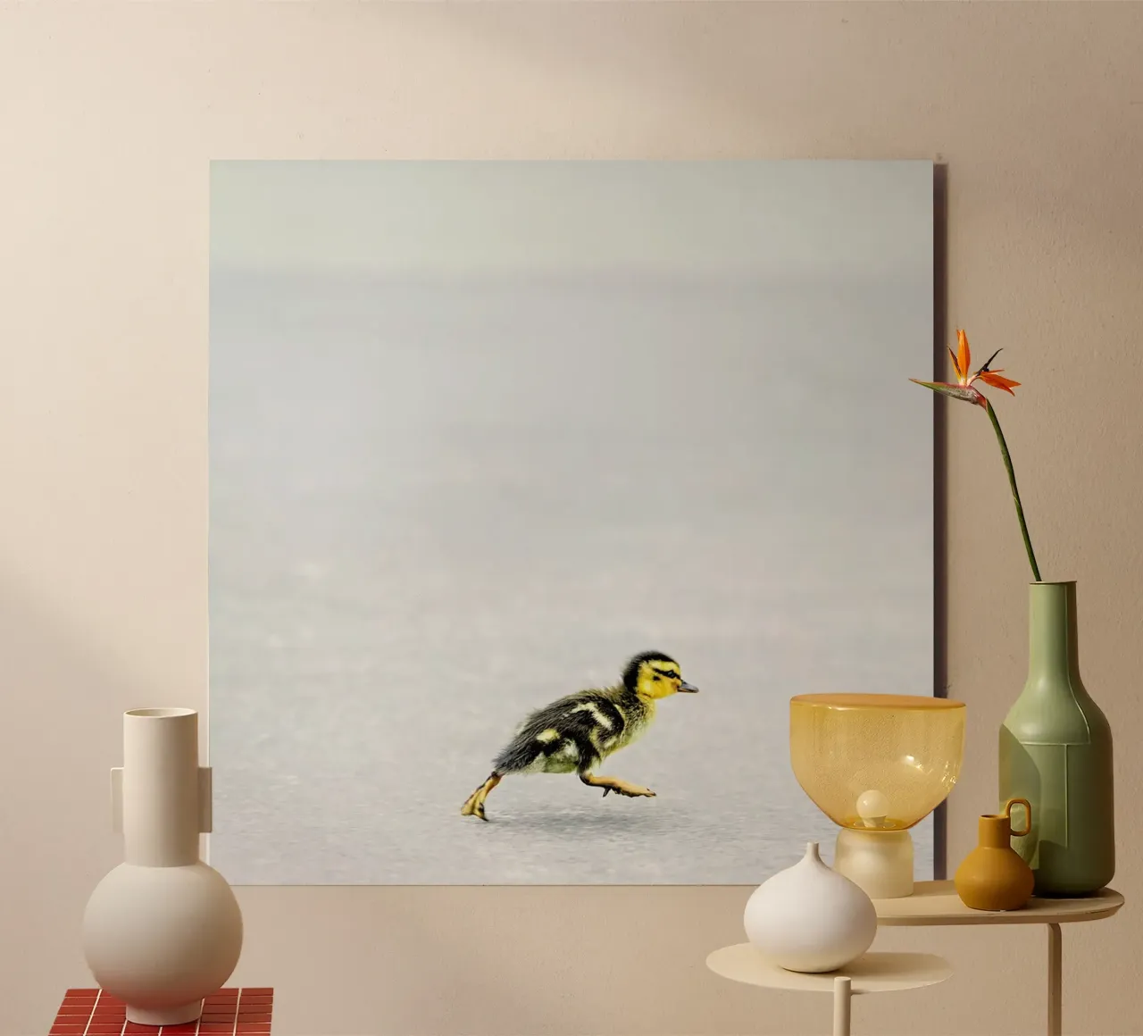 Duckling pannello forex da Charlotte Curd