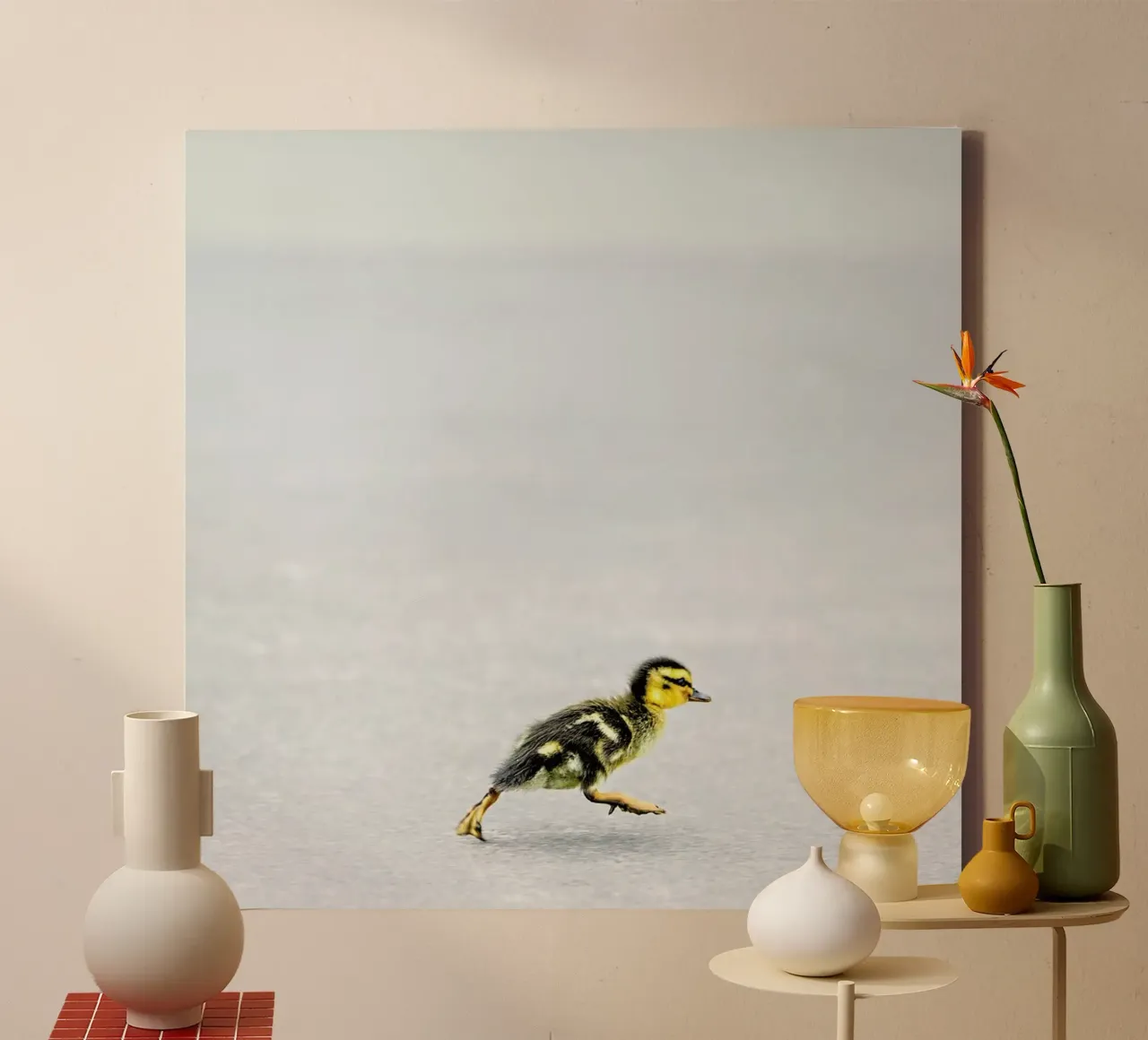 Duckling tela con Cornice a cassetta da Charlotte Curd