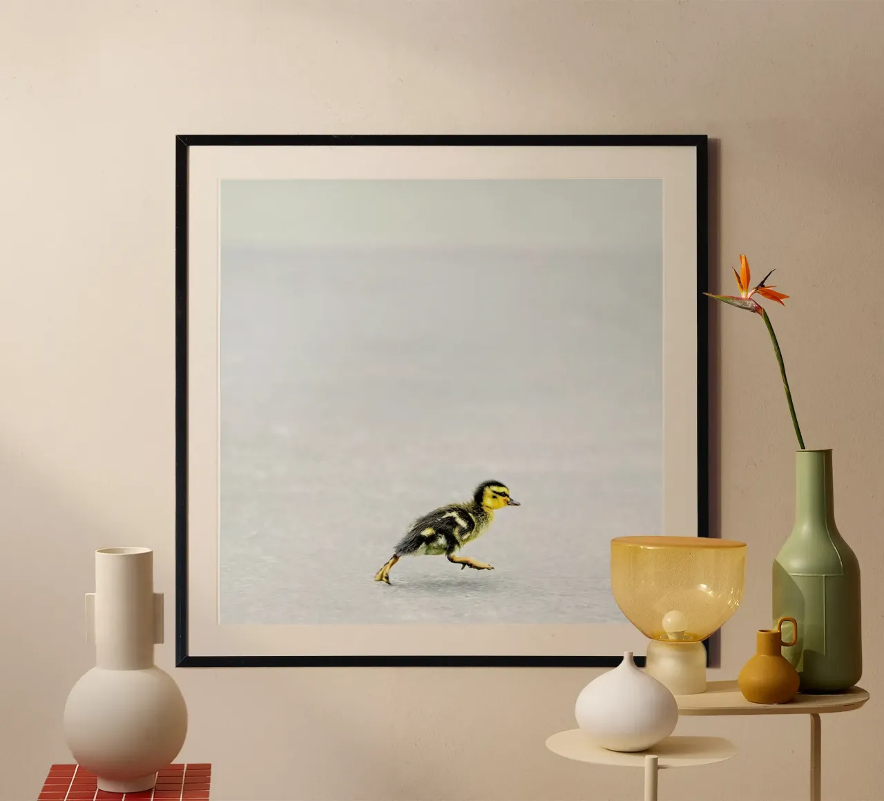 Duckling carta hahnemühle da Charlotte Curd