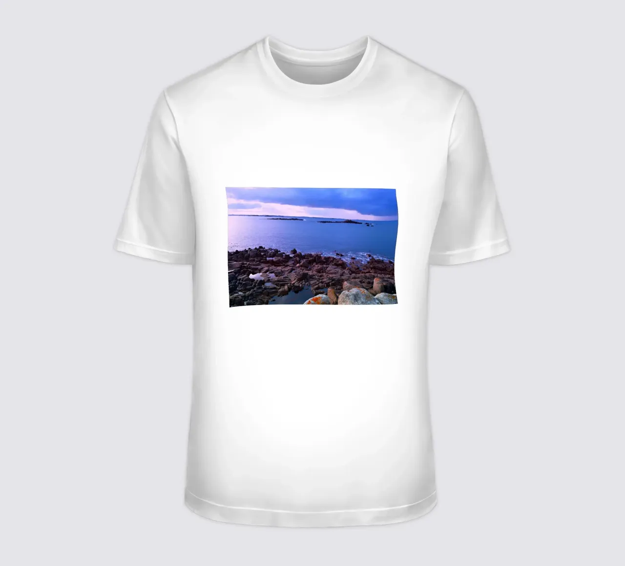 FAA211 t-shirt da Thierry vobmann photography