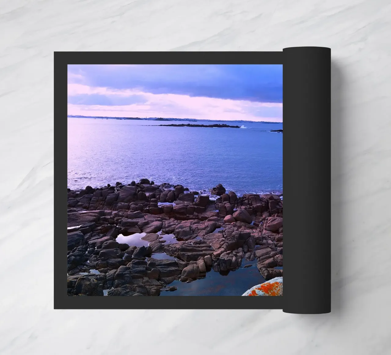 FAA211 zerbino da Thierry vobmann photography