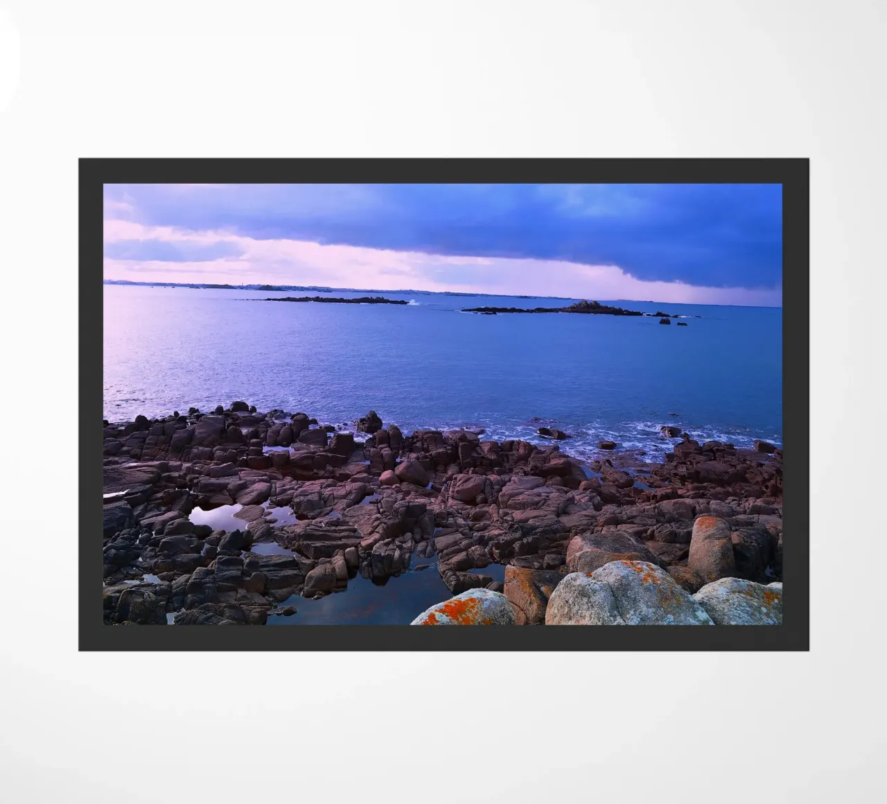 FAA211 zerbino da Thierry vobmann photography