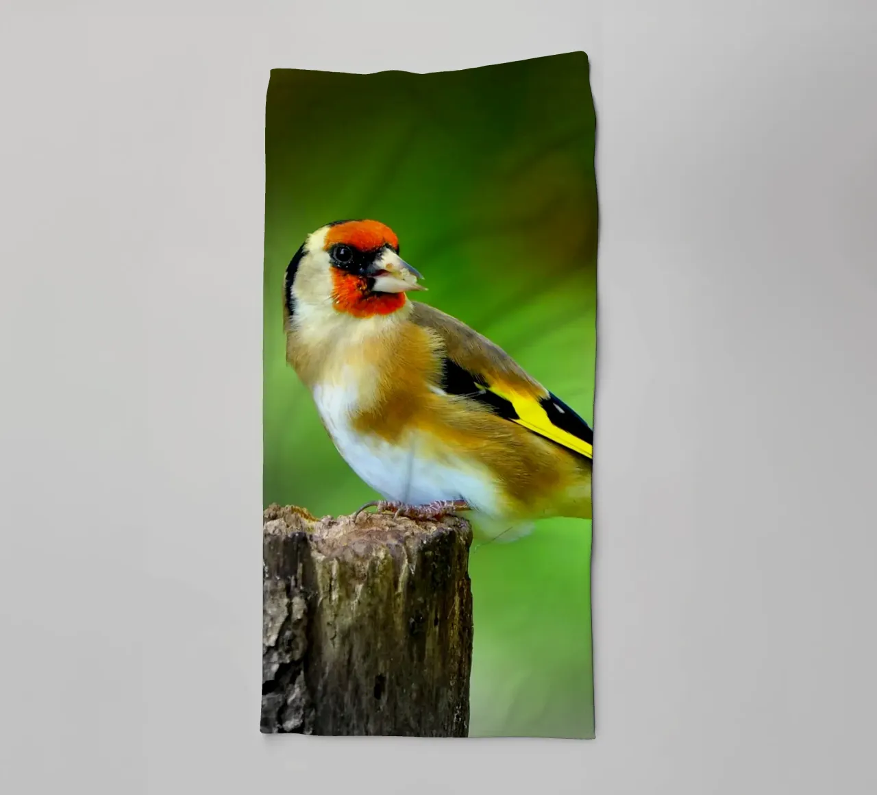 FAA212 towel by Thierry vobmann photography